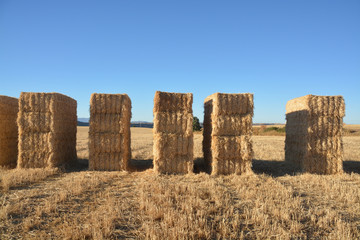 fardos de paja