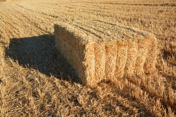 fardo de paja
