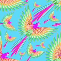 Fototapeta na wymiar seamless pattern of the Caribbean parrot flying on a background