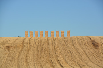 fardos de paja en una colina