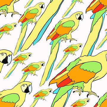 seamless pattern yellow parrot the Caribbean. 