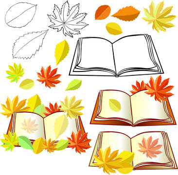 set of autumn with leaves and educational books.