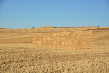 fardos de paja en el campo