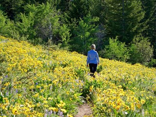 Woman walking through blooming meadows.