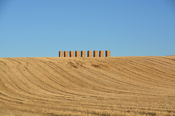 fardos de paja en una colina