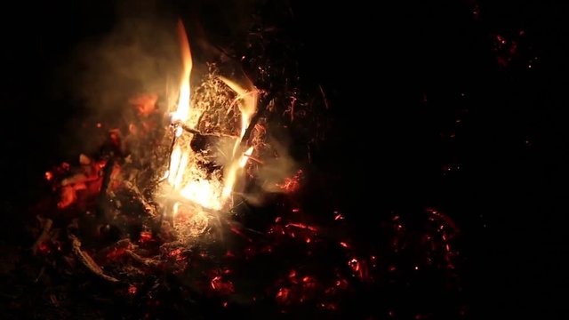 Догорающий костёр из сухих веток
