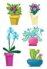 Variety of colorful flowers vector illustration