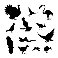 Set of simple bird silhouette. black color