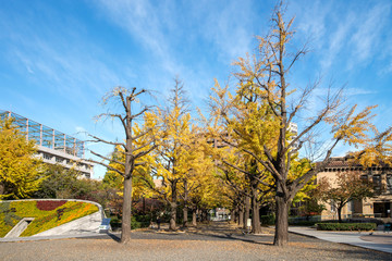 Obraz premium 横網町公園