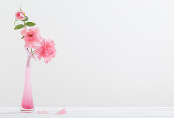 Pink roses in vase  on white background