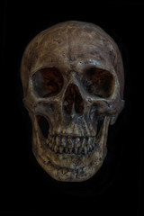 Fototapeta premium Human skull isolated on black background