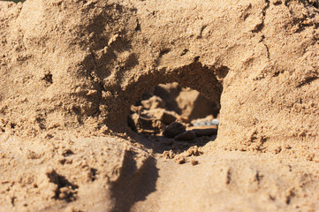 sandcastle