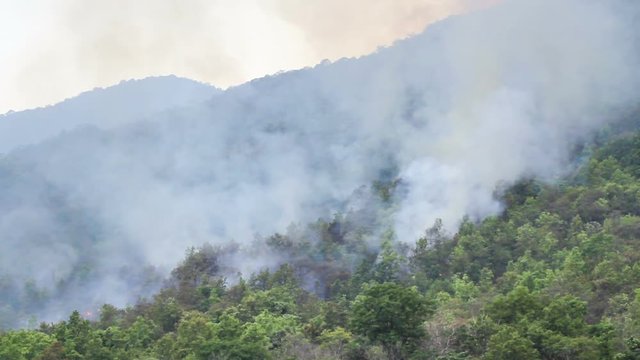 wildfire on mountain in thailand