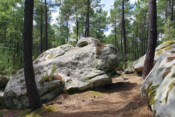 Rochers sur le sentier des 25 bosses. Massif de Fontainebleau