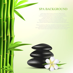 Vector realistic illustration of Spa