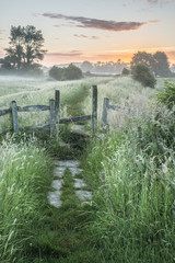 Mooie levendige zomerzonsopgang boven het Engelse platteland
