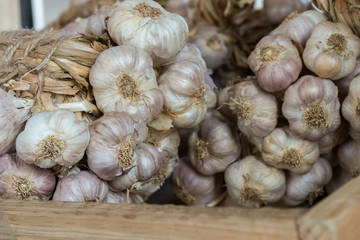 Garlic Background / Garlic / Garlic on Wooden Background