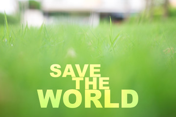 Fototapeta premium Typographic quotes; A soft spring grass background