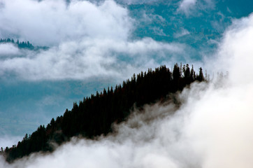 Amazing mountain landscape with dense fog. Carpathian Mountains