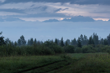 Meadow and forest on a background of mountains covered with fog.