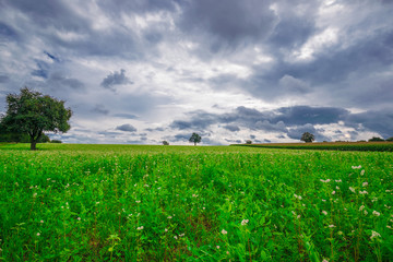 Die Ruhe vor dem Sturm