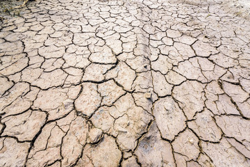 Thirsty Soil - Dry Land