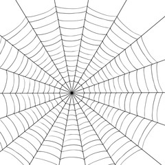 Obraz premium spider illustration