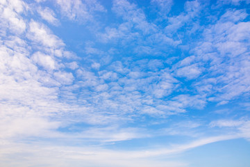 fluffy clouds in light blue sky