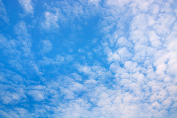 fluffy clouds in light blue sky