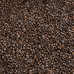 Roasted coffee beans