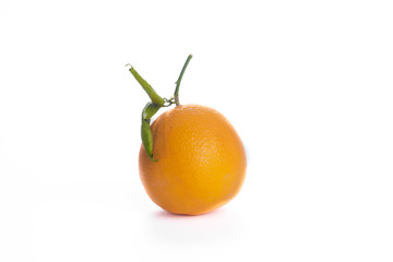 Lonely orange isolated on white background