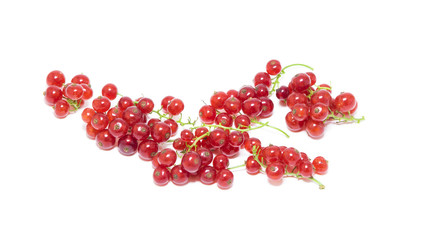Red currants isolated on white background.