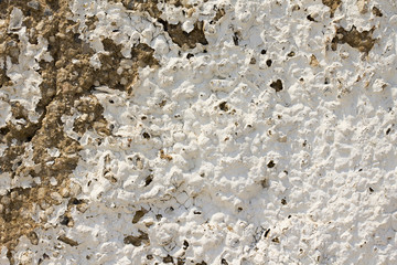 Old protective coating walls (plaster)