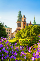 A view of a Wawel castle and Cathedral with garden in the foreground, Cracow, Poland.
