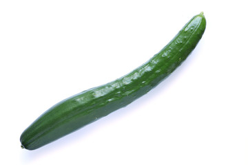 Japanese fresh cucumber isolated