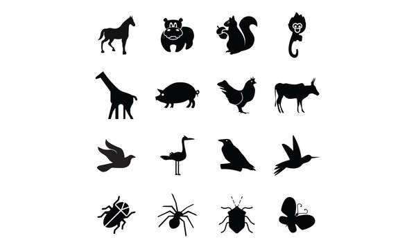 animal , birds and bugs