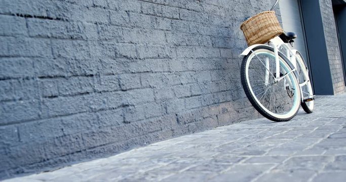 Stylish bike is resting on a wall 