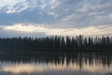 The wood which is reflected in water of the current river.