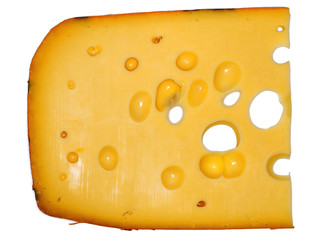 Käse