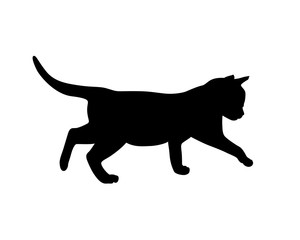 Kitten silhouette. Vector illustration