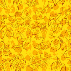 Seamless Nature Background with Autumn Tree Leaves Contours and Silhouettes, Willow, Hawthorn, Poplar, Aspen, Ginkgo Biloba, Elm, Alder, Linden, Rowan, Chestnut, Black Chokeberry and Beech. Vector