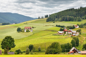 Houses and fields of the German Farmers.Black Forest. Germany.