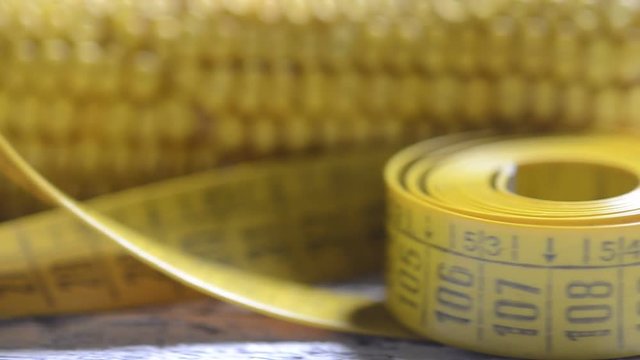 Zea mays Ng&ocirc; Mais Kukurydza zwyczajna Mielie Maize 玉米 ข้าวโพด Кукуруза сахарная 