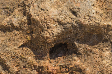 Texture (background) of natural stone