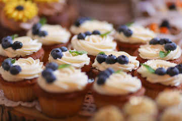 Cupcakes baked dessert with berries
