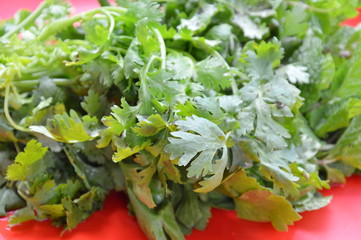 parsley and kitchen mint on red plastic tray