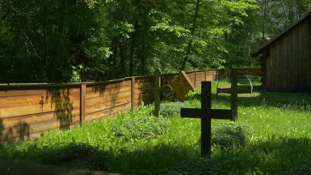 Burial Crosses Among Shady Trees