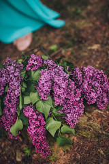 Close-up beautiful lilac flowers bouquet with the leaves. Beauty world.