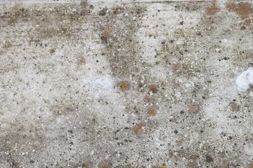 Old wooden surface for background. Closeup view. Selective focus