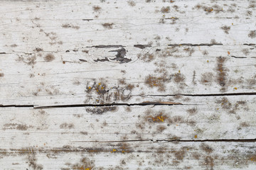 Old wooden surface for background. Closeup view. Selective focus